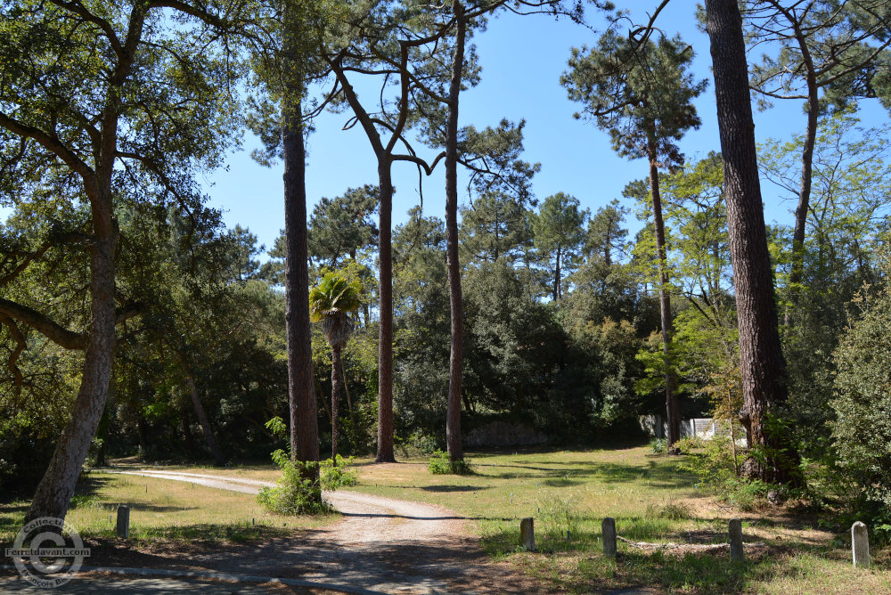 Lège Cap Ferret