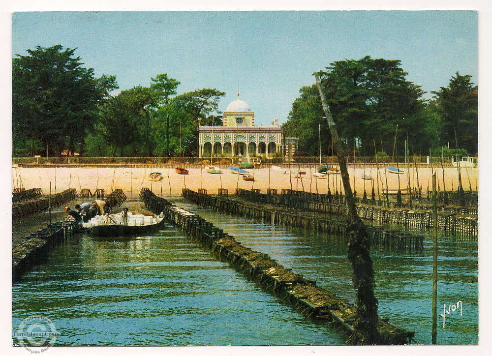 Lège Cap Ferret - l-herbe