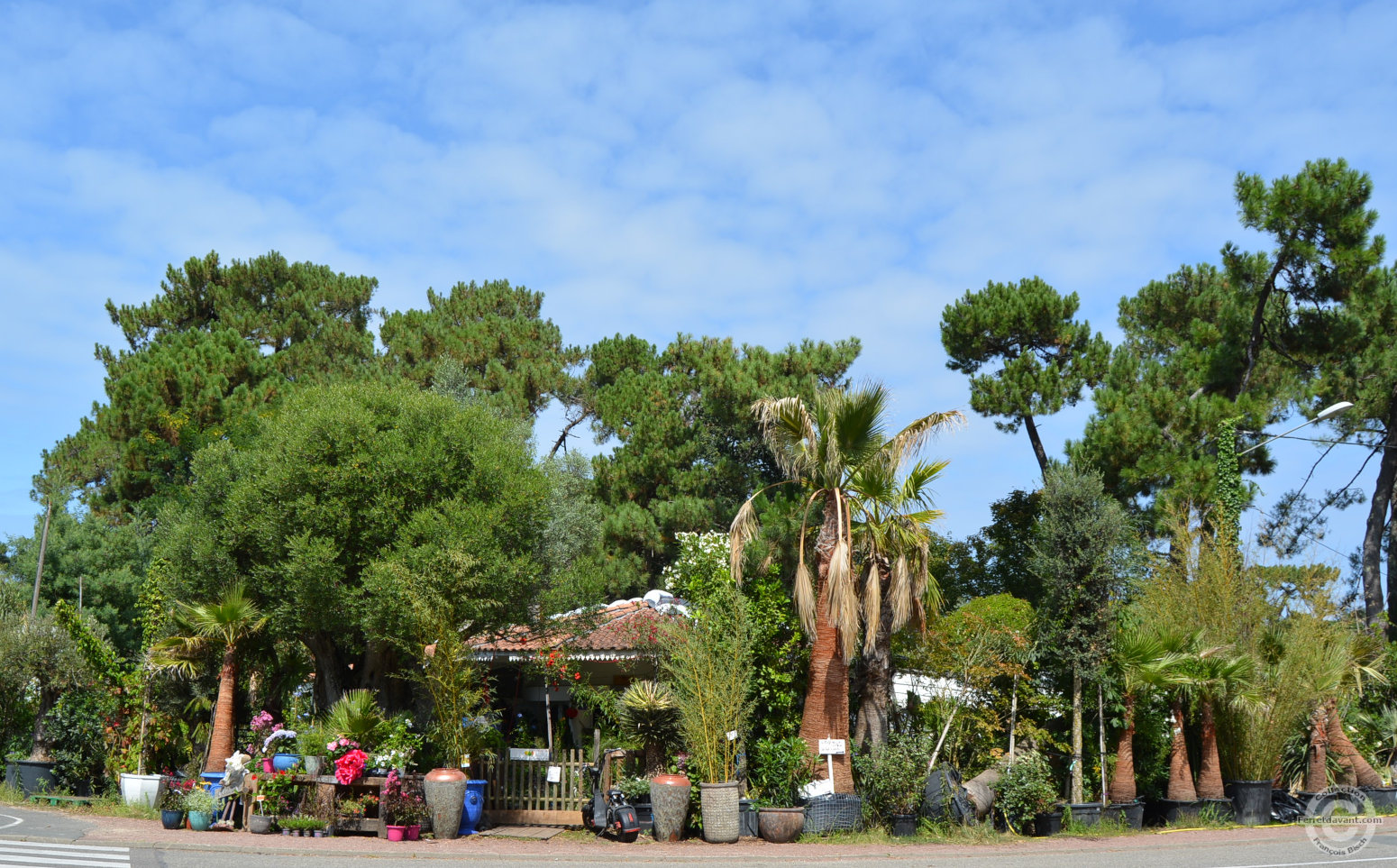 Villa de Lège Cap Ferret