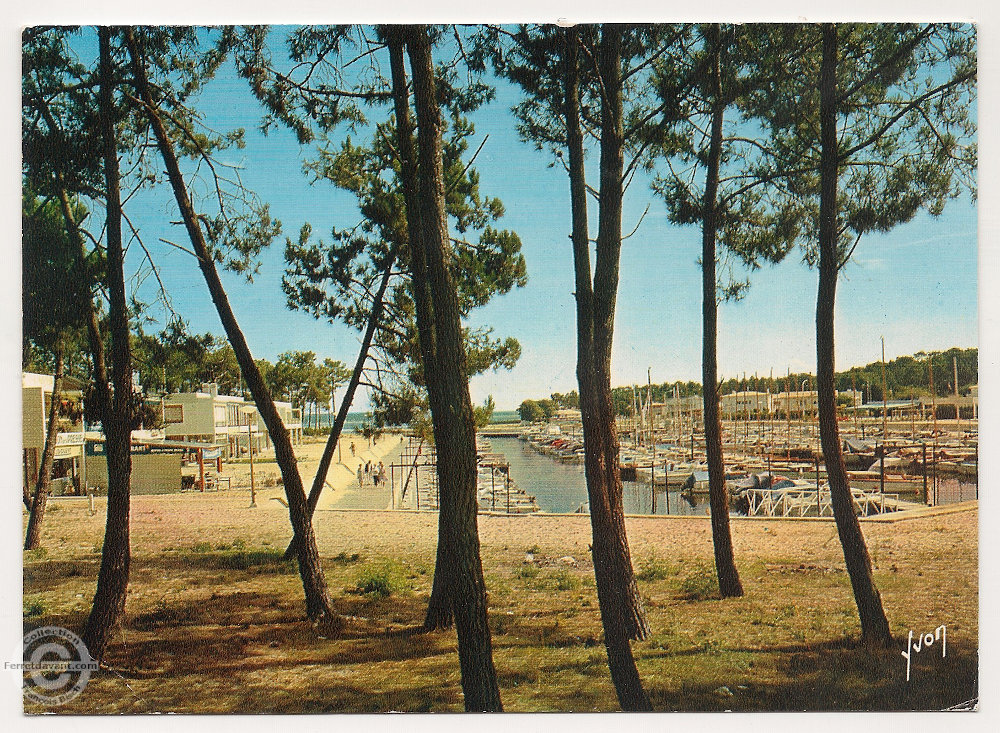 Lège Cap Ferret - la-vigne