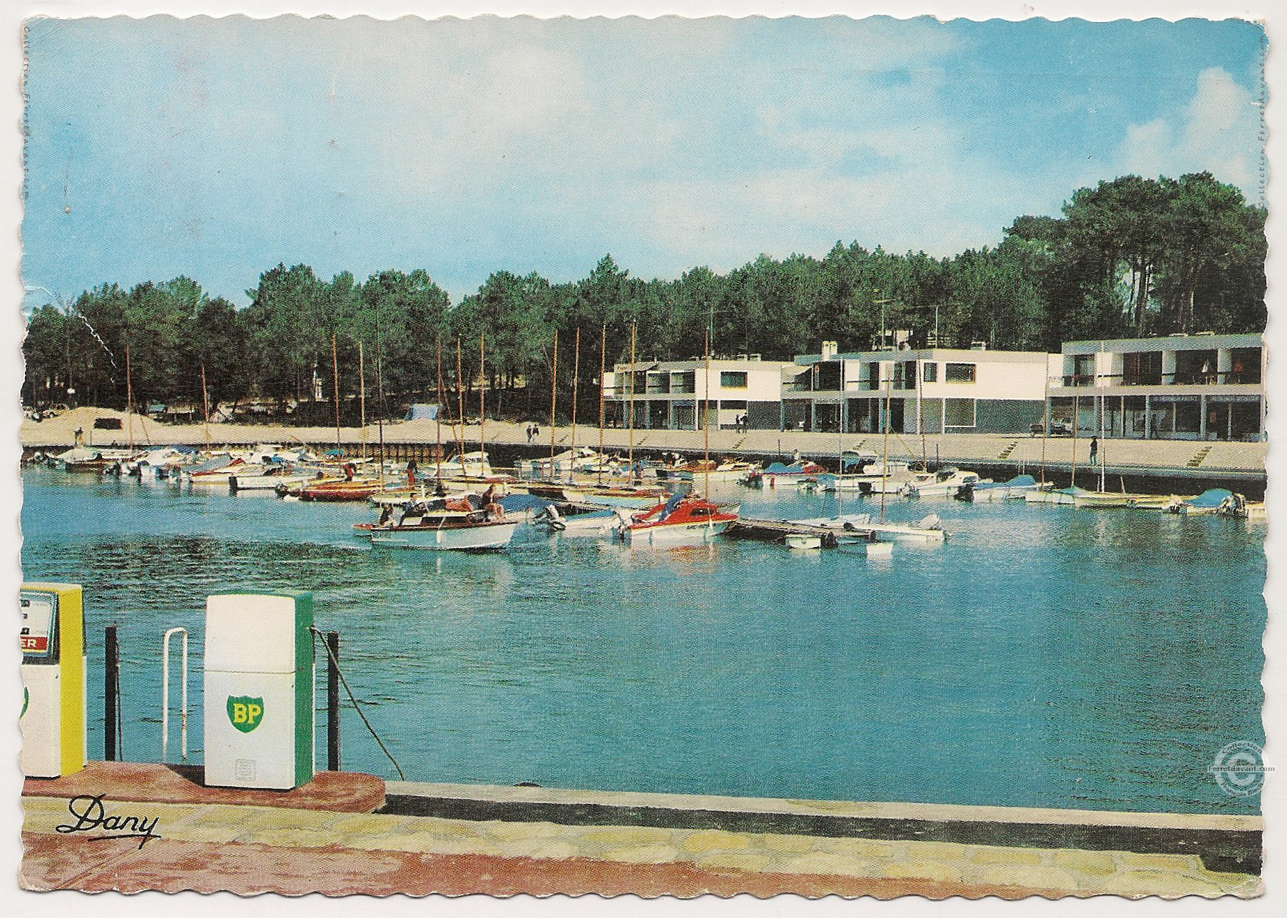 Lège Cap Ferret - la-vigne