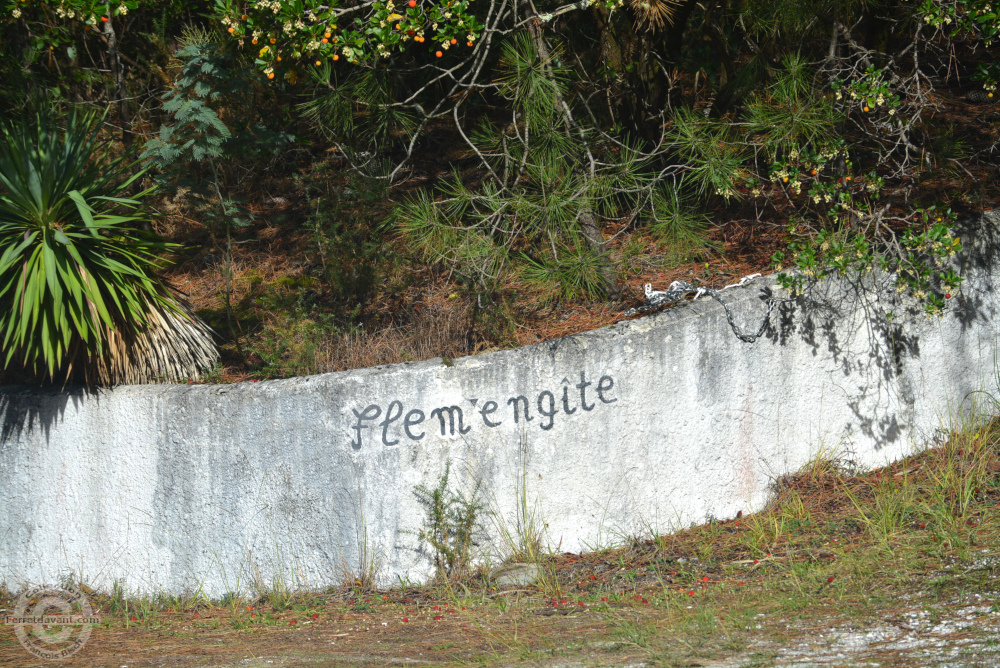 Villa de Lège Cap Ferret