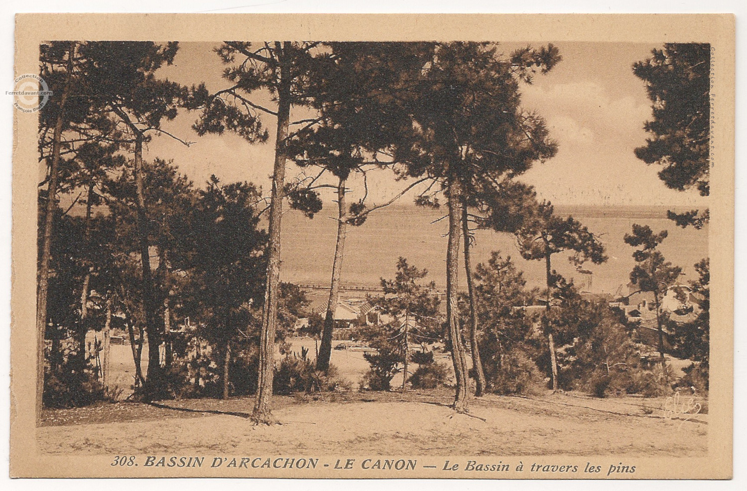 Lège Cap Ferret - le-canon