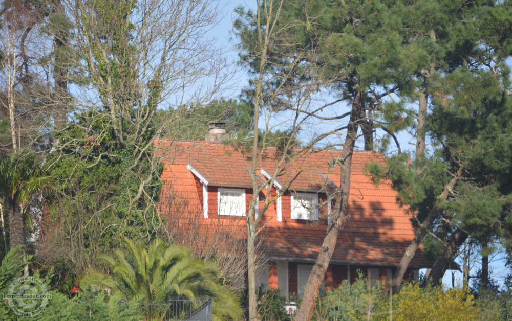 Lège Cap Ferret