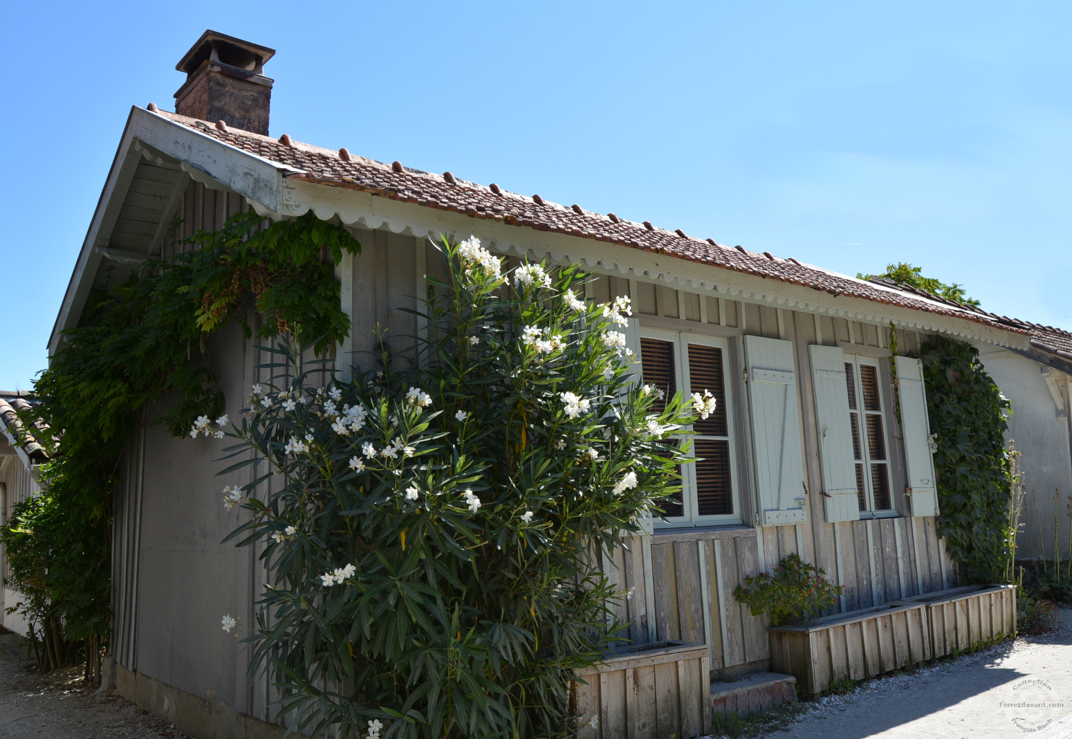 Villa de Lège Cap Ferret