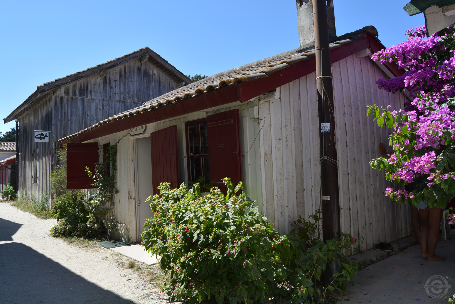 Villa de Lège Cap Ferret