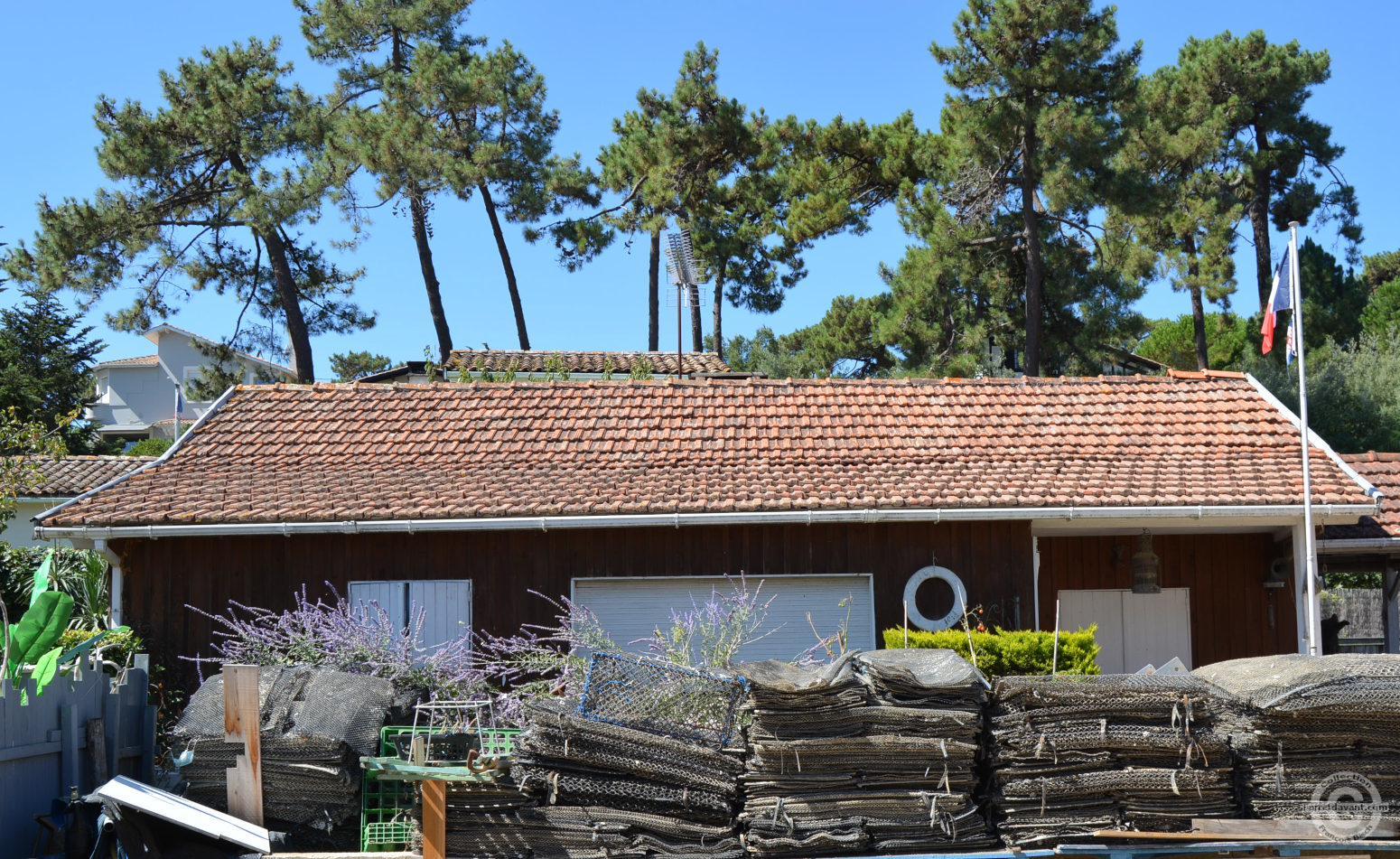 Villa de Lège Cap Ferret