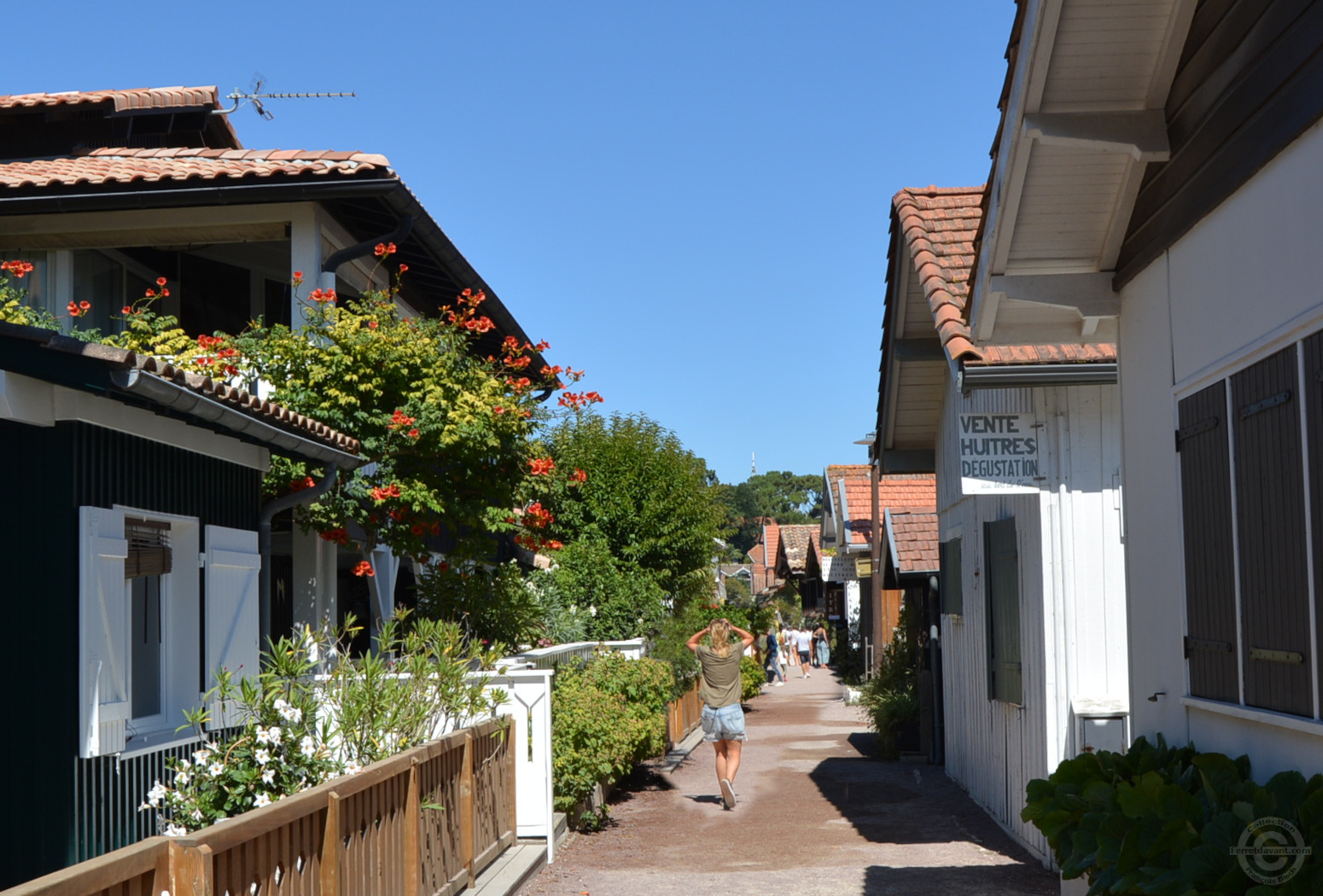 Villa de Lège Cap Ferret