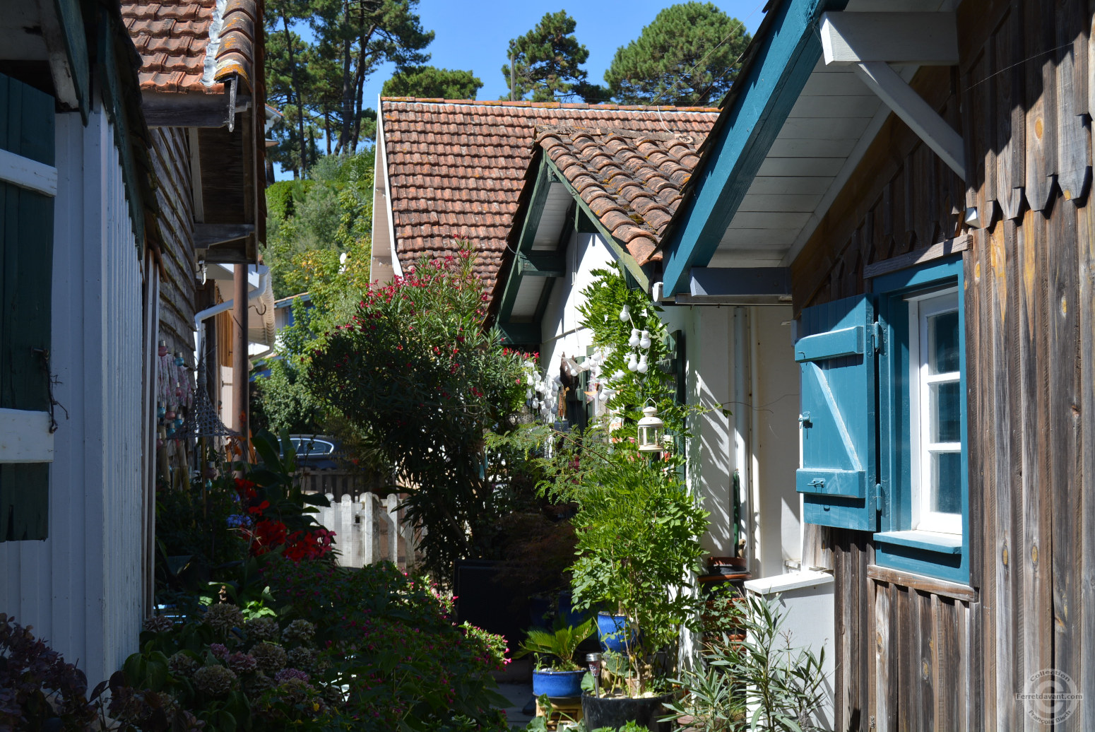 Villa de Lège Cap Ferret