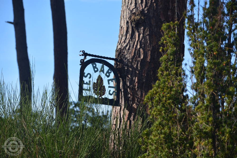 Villa de Lège Cap Ferret