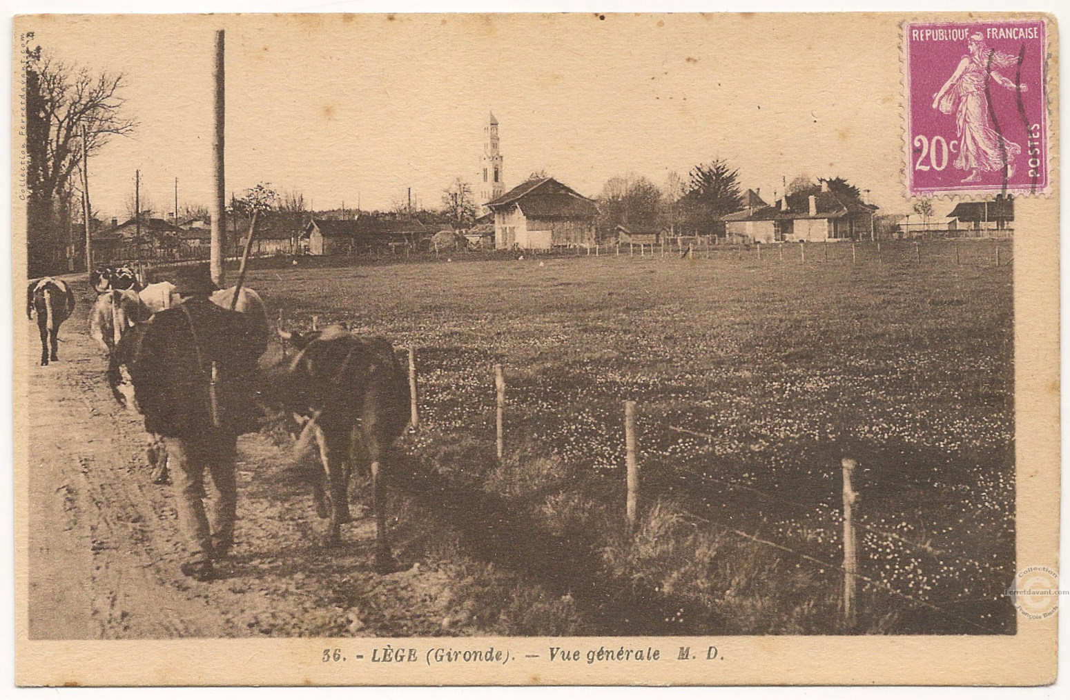 Lège Cap Ferret