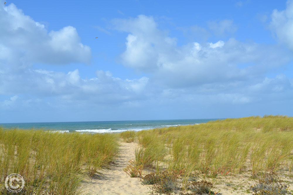 Lège Cap Ferret