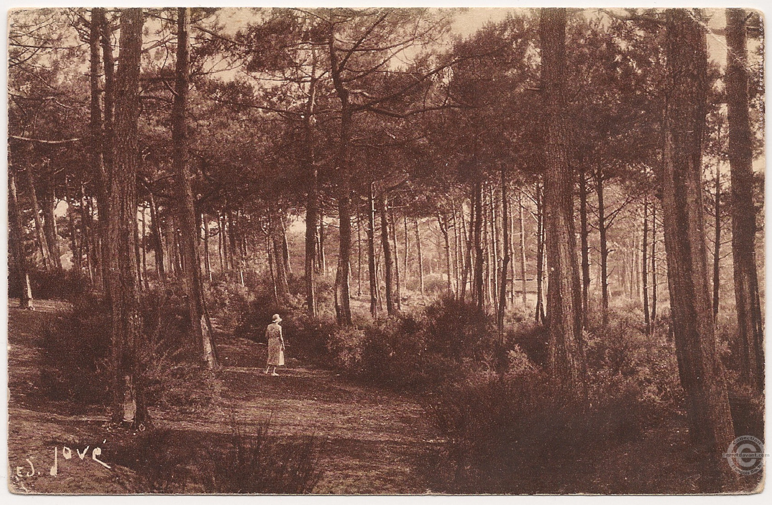 Lège Cap Ferret