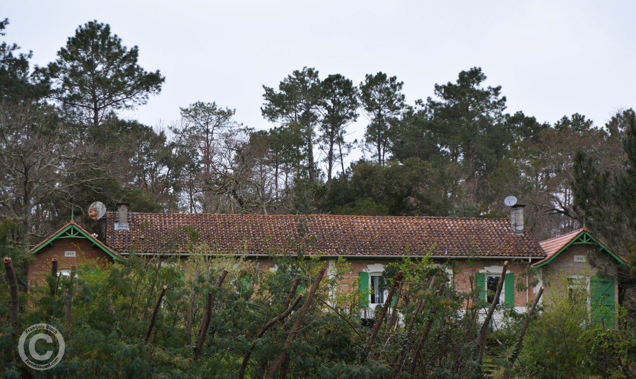 Lège Cap Ferret