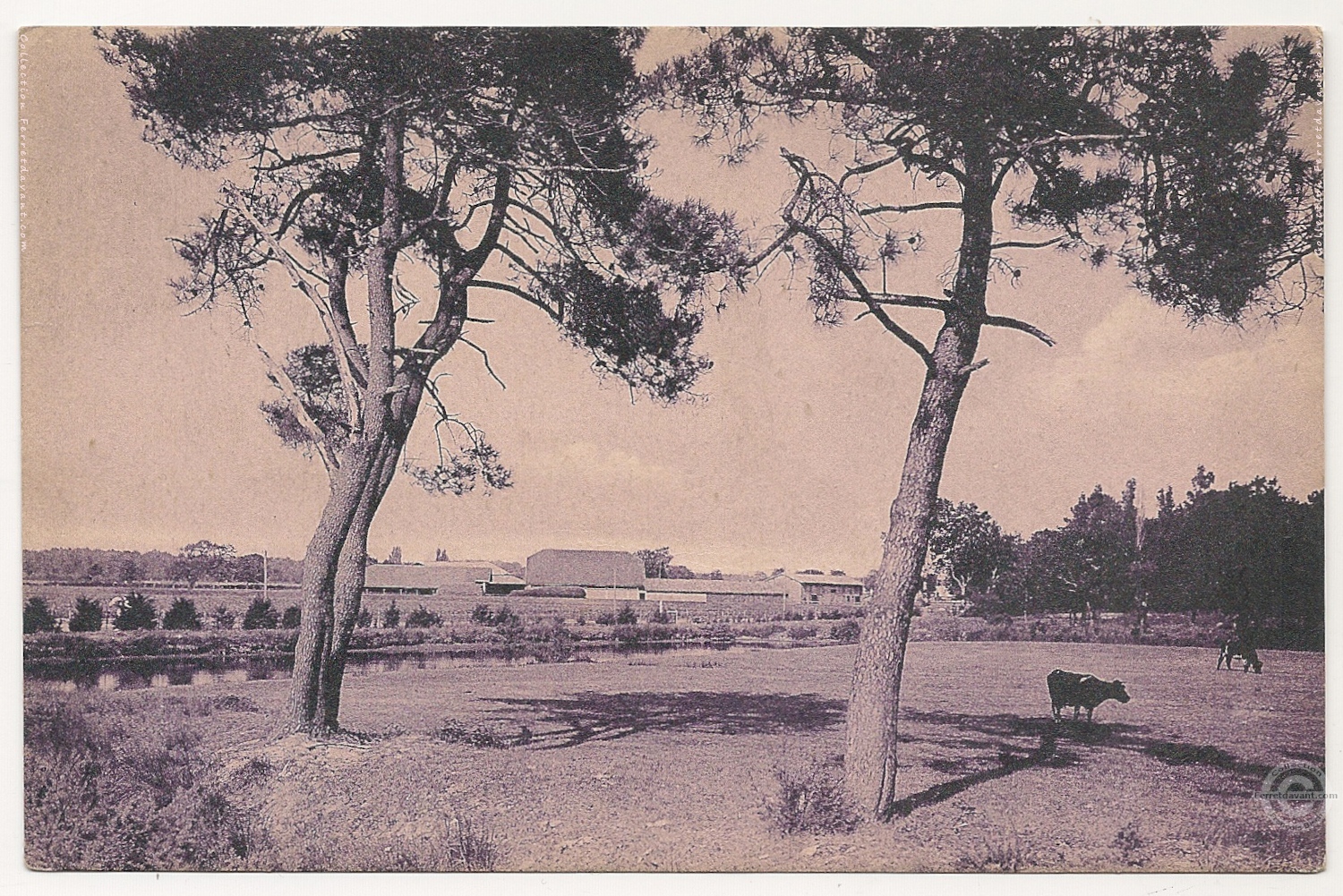 Lège Cap Ferret