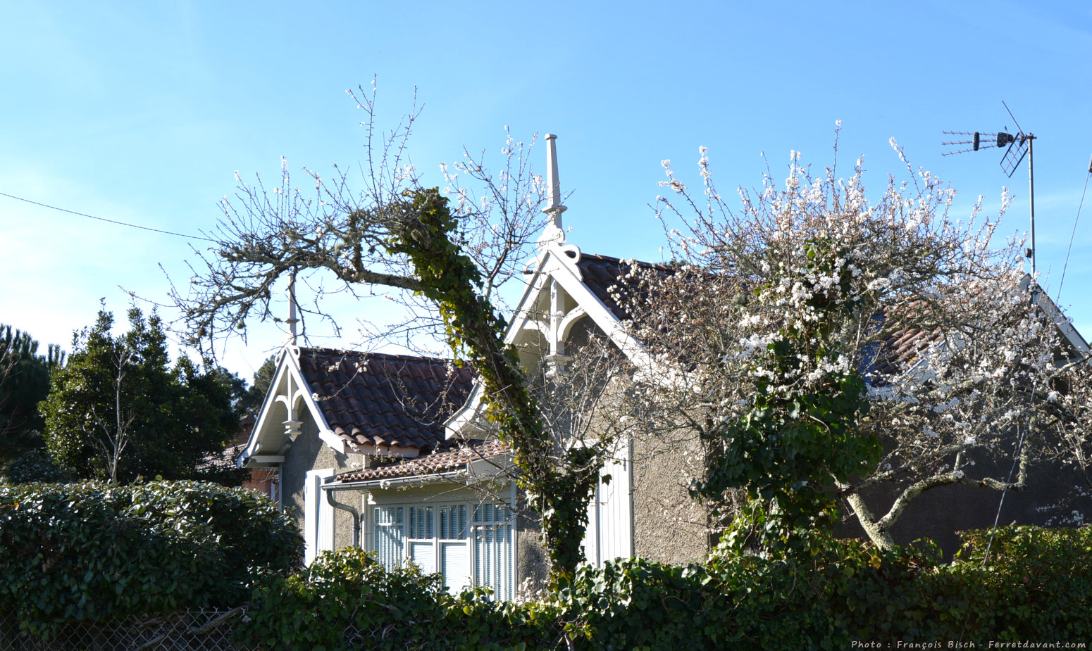 Lège Cap Ferret