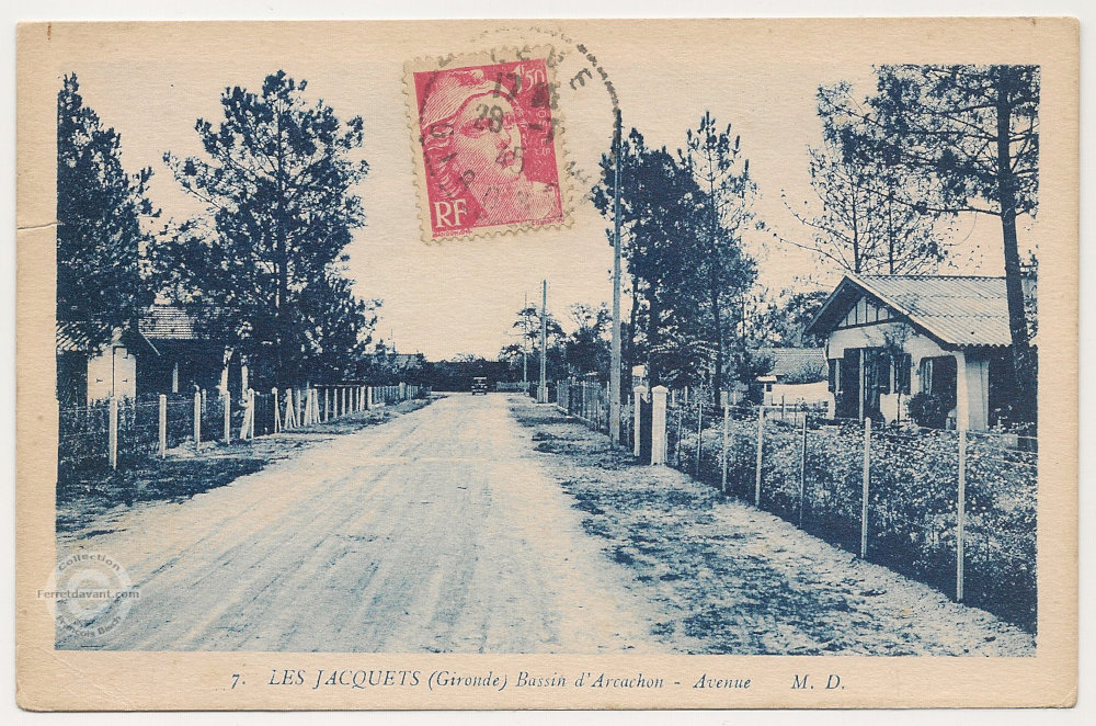 Avenue des Jacquets - Petit-Piquey