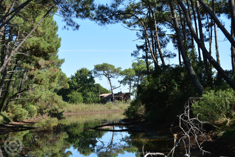 Lège Cap Ferret