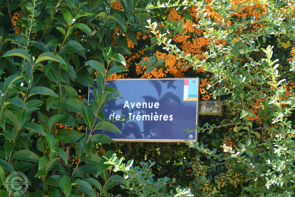 Rue de Lège Cap Ferret