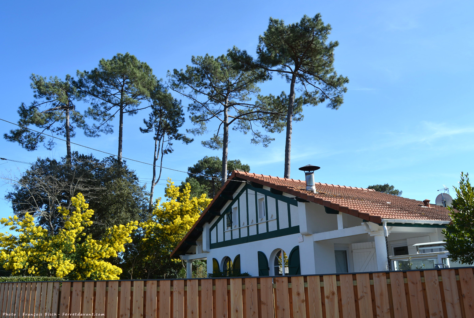 Villa de Lège Cap Ferret