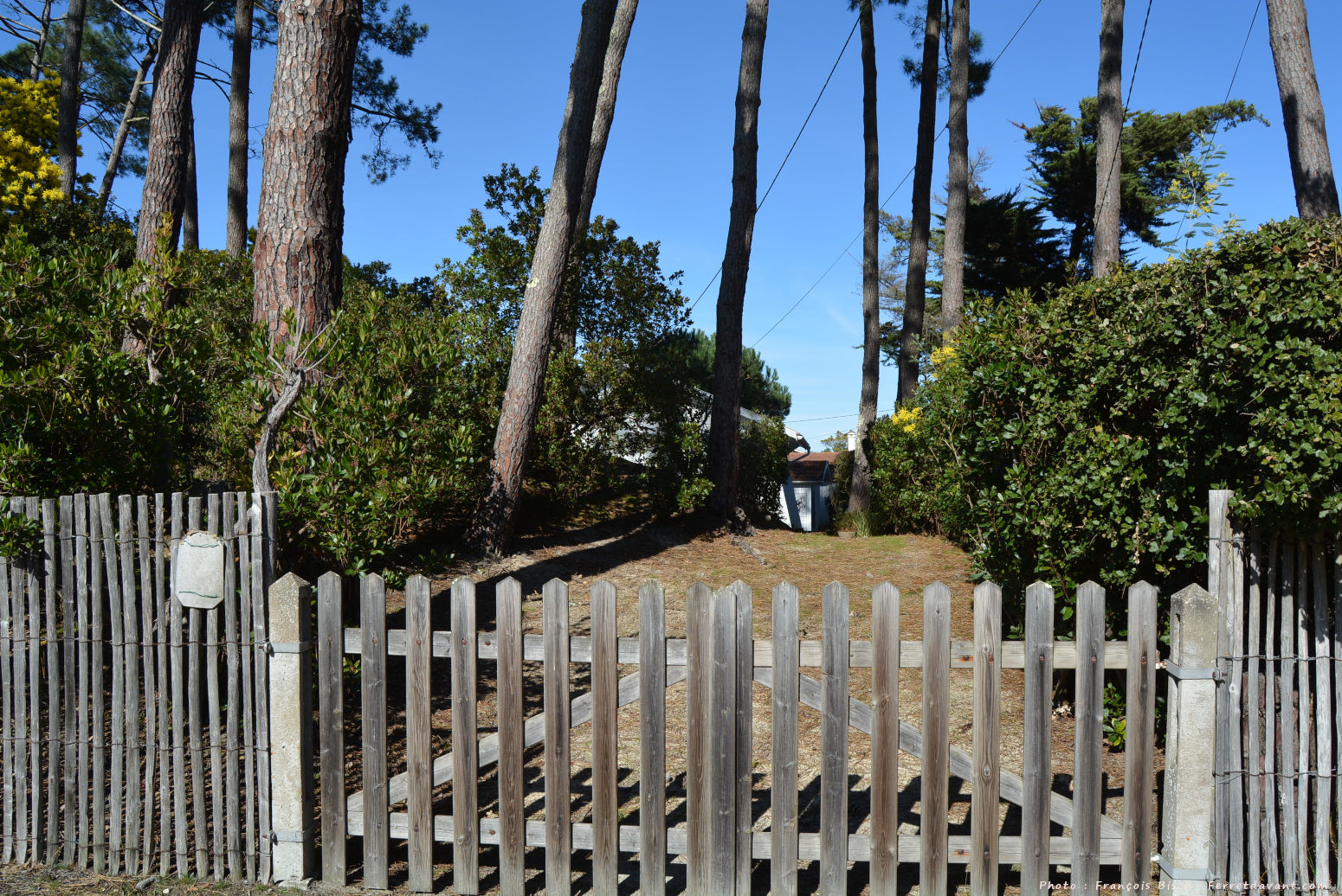 Villa de Lège Cap Ferret