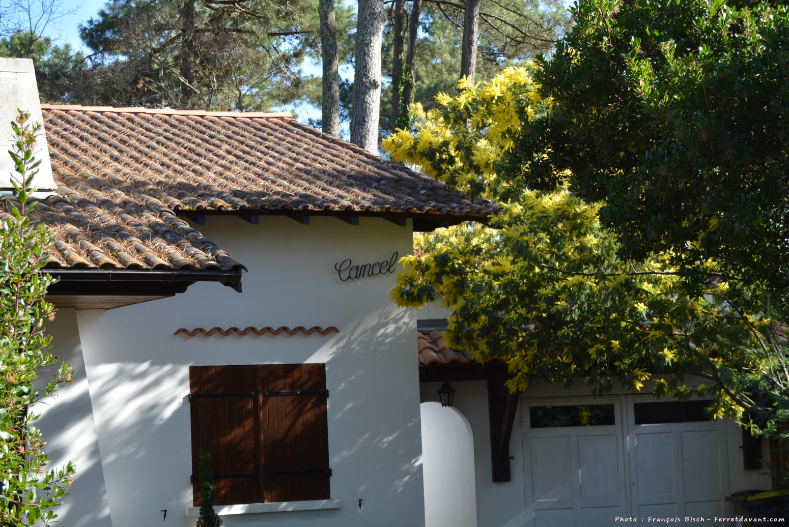 Villa de Lège Cap Ferret