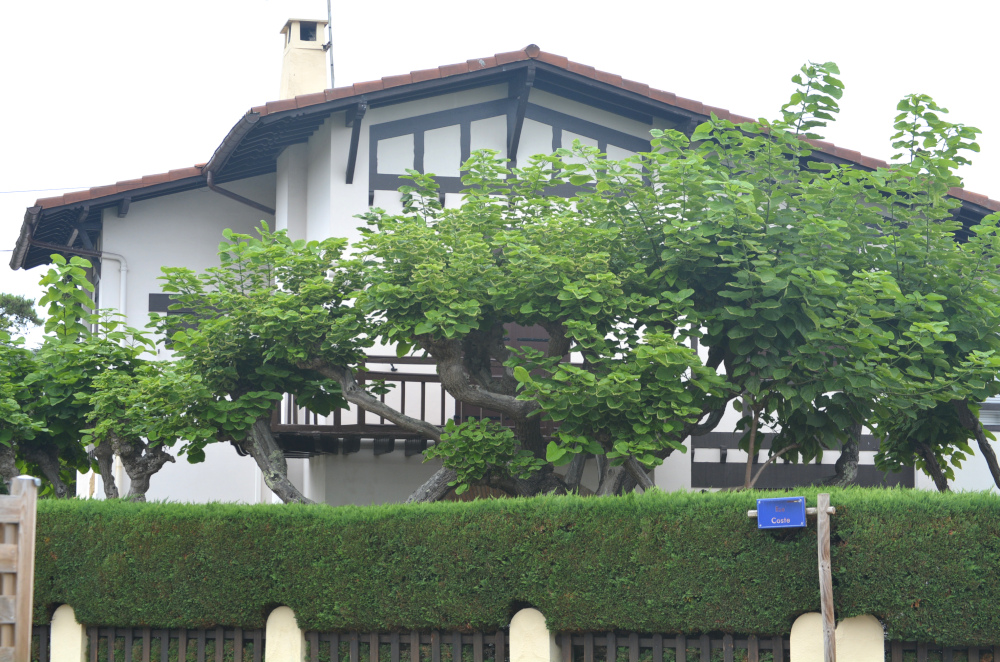 Villa de Lège Cap Ferret