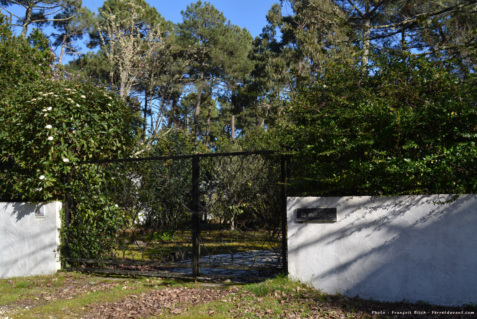 Villa de Lège Cap Ferret