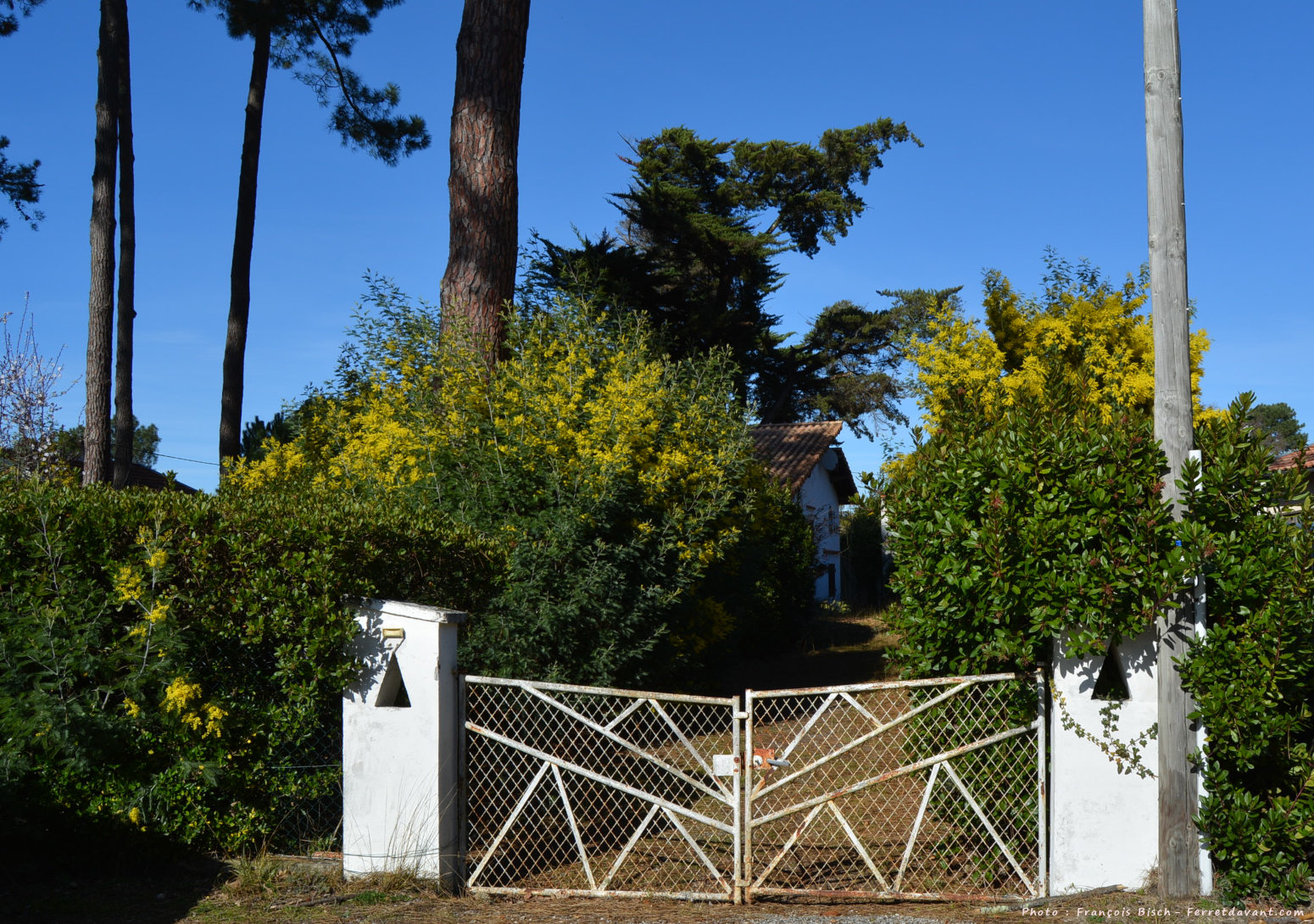 Villa de Lège Cap Ferret