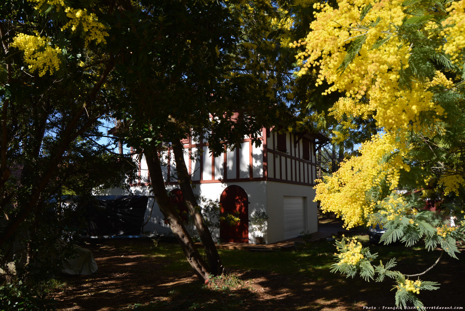 Villa de Lège Cap Ferret