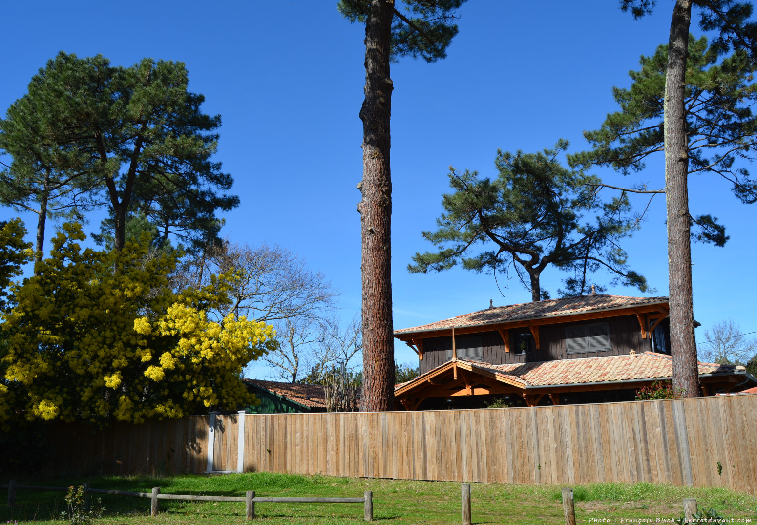 Villa de Lège Cap Ferret