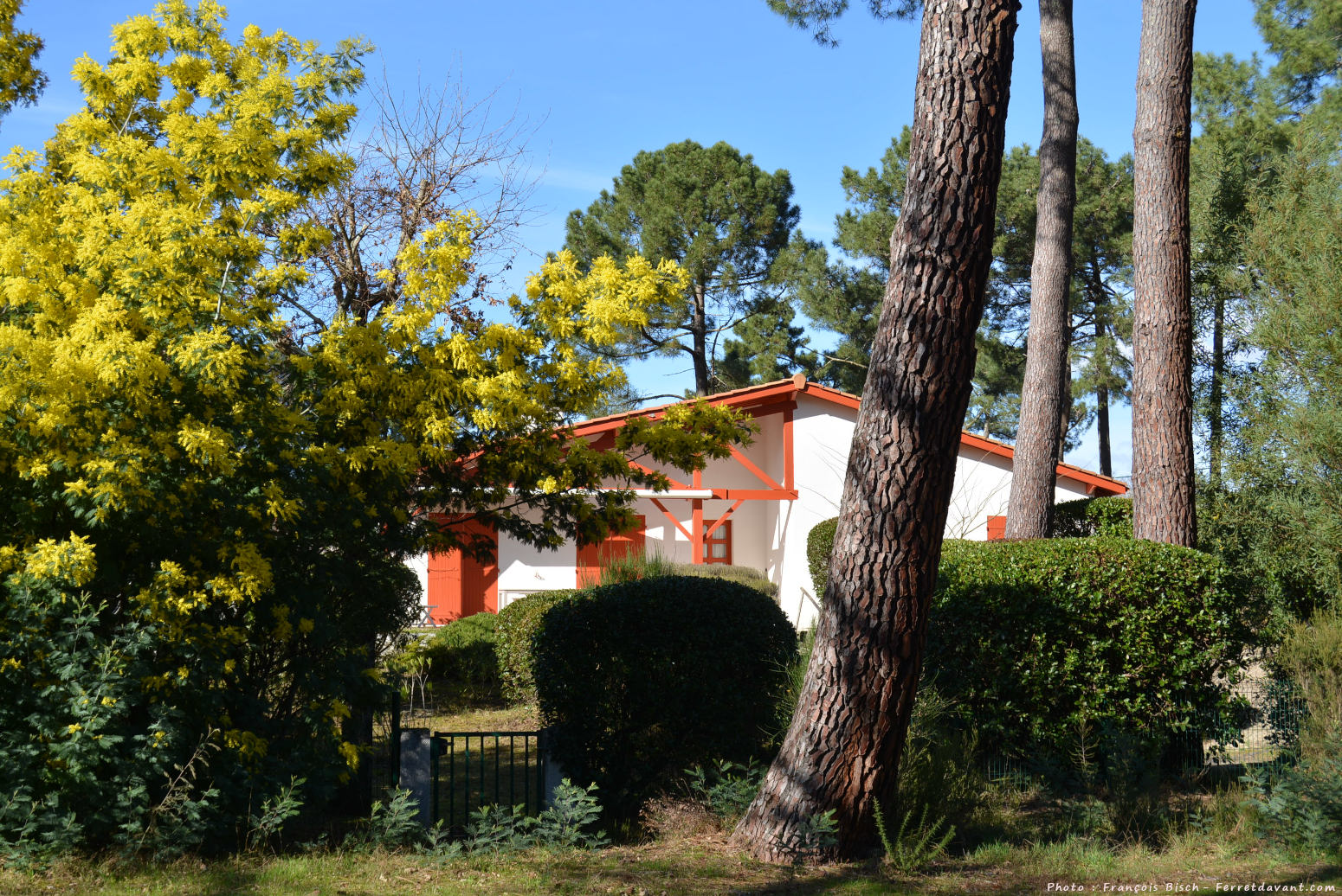 Villa de Lège Cap Ferret