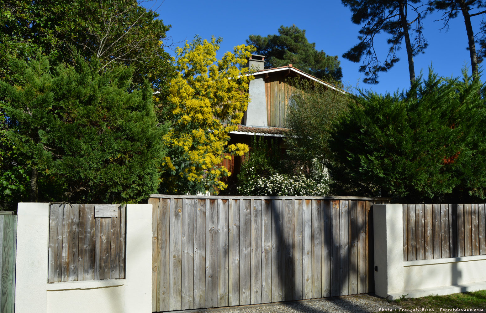 Villa de Lège Cap Ferret