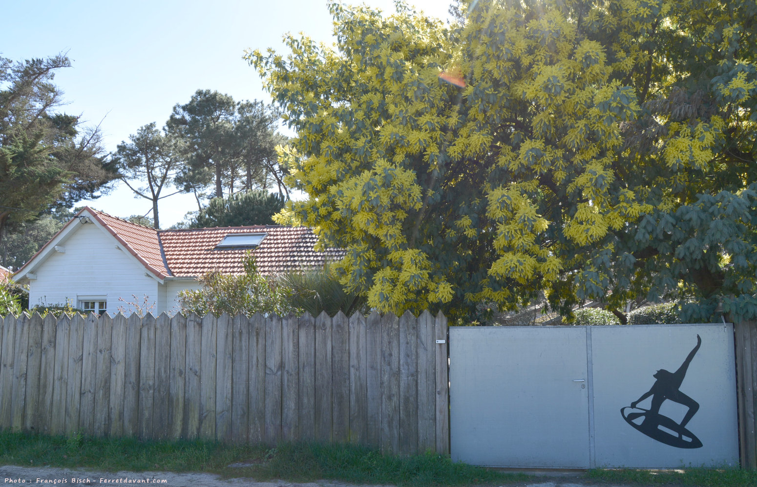 Villa de Lège Cap Ferret