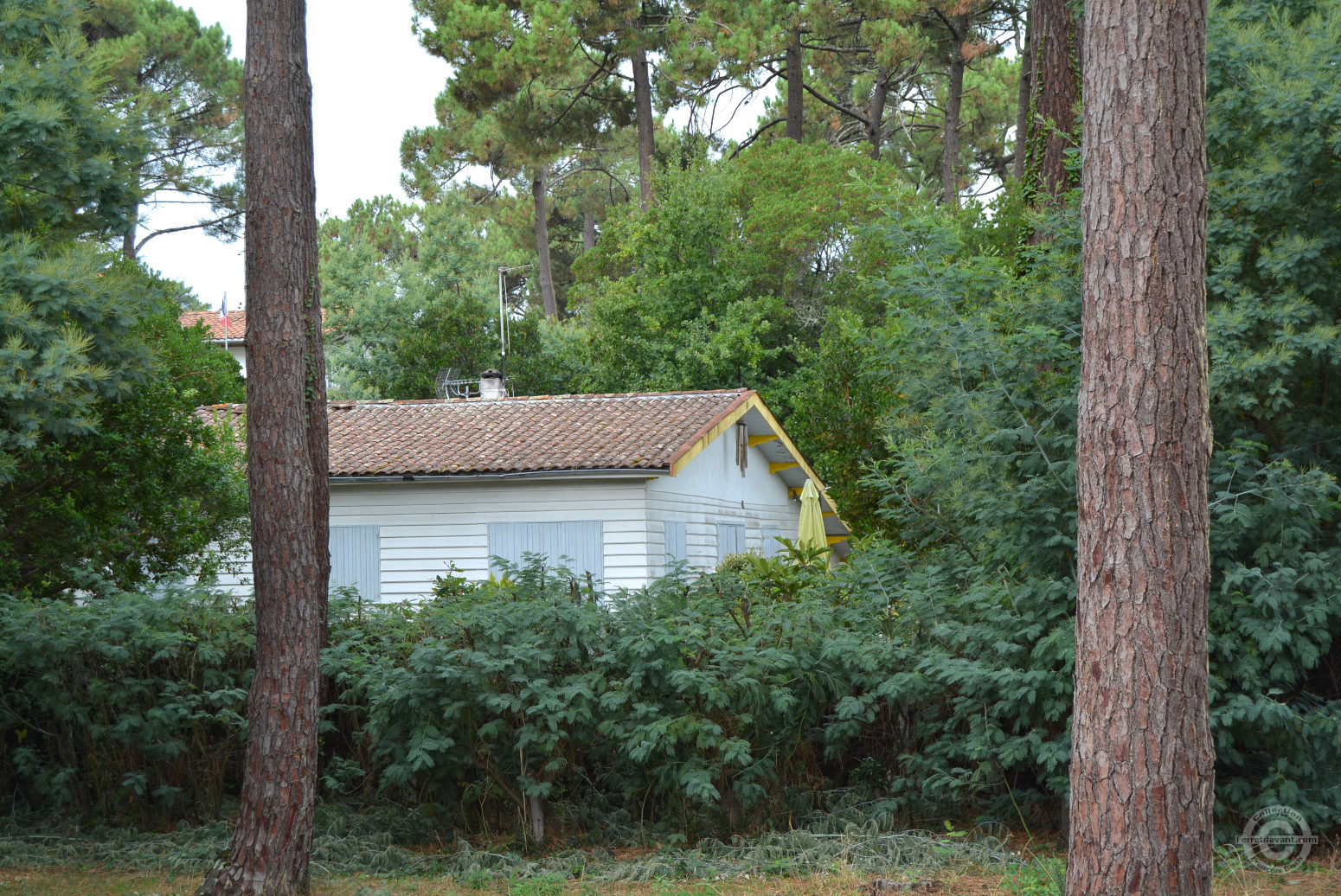 Villa de Lège Cap Ferret