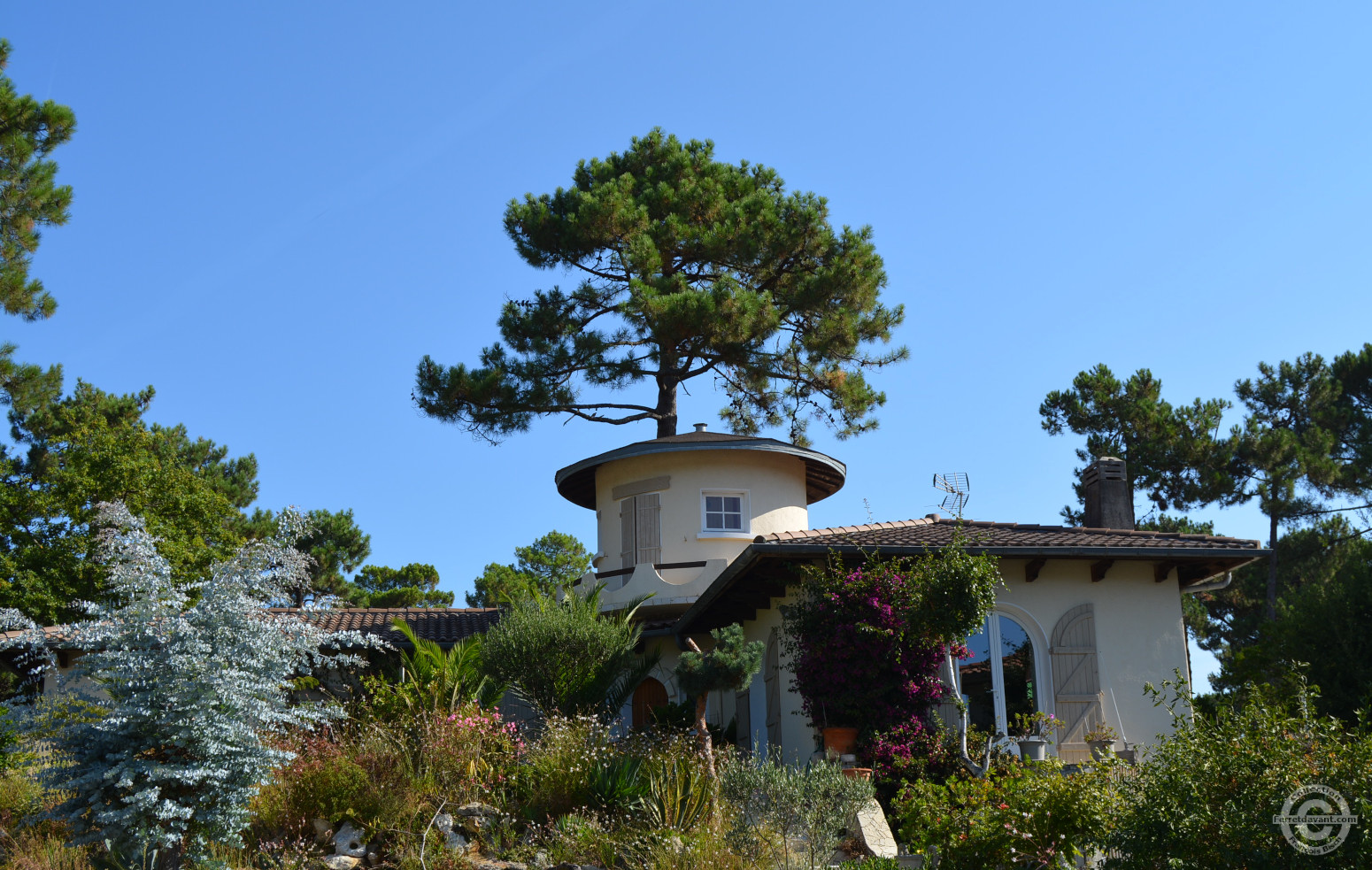 Villa de Lège Cap Ferret