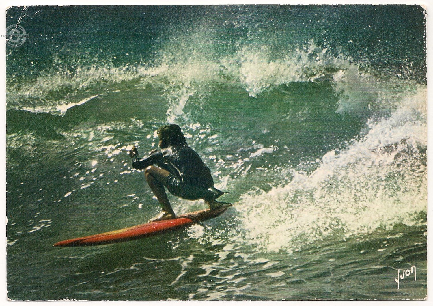 Lège Cap Ferret